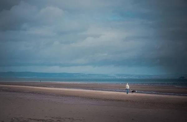 Człowiek, spacery z psem na plaży — Zdjęcie stockowe
