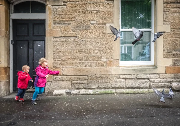 Enfants pourchassant les pigeons — Photo