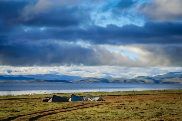 Tenda bernada di pantai Danau Manasarovar — Stok Foto