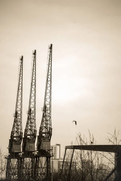 Cranes on the building site — Stock Photo, Image