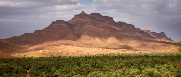 Vale do Draa em Marrocos — Fotografia de Stock