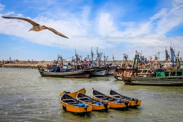 Tekne Essouira Harbour — Stok fotoğraf