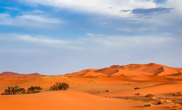 Приголомшливий піщаних дюн Мерзуга — стокове фото