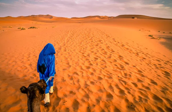 Merzouga kum tepeleri berber rehber — Stok fotoğraf