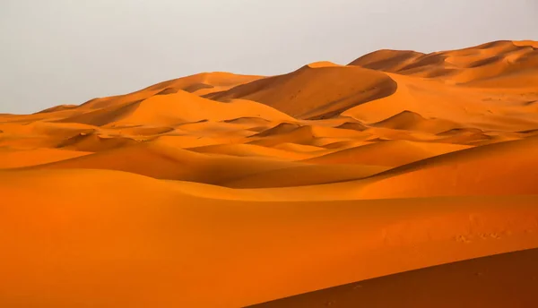 Stunning sand dunes of Merzouga — Stock Photo, Image