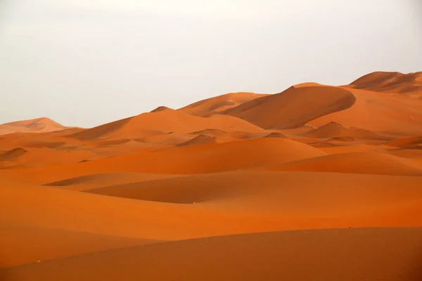 Splendide dune di sabbia di Merzouga — Foto Stock