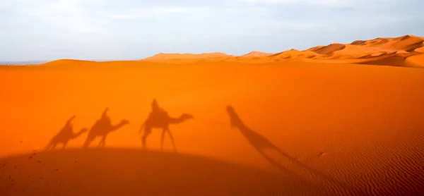 Sombra de uma caravana em dunas de areia — Fotografia de Stock