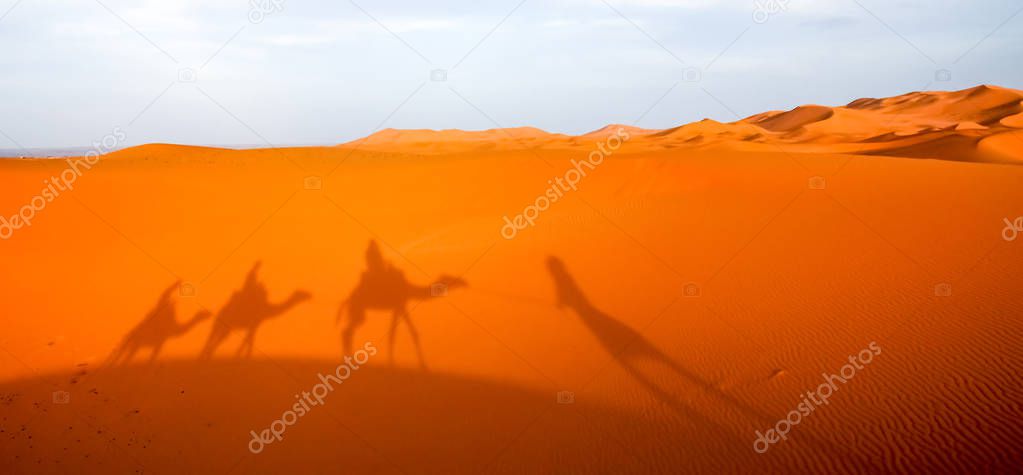 Shadow of a caravan on sand dunes