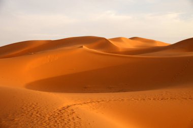 Stunning sand dunes of Merzouga clipart
