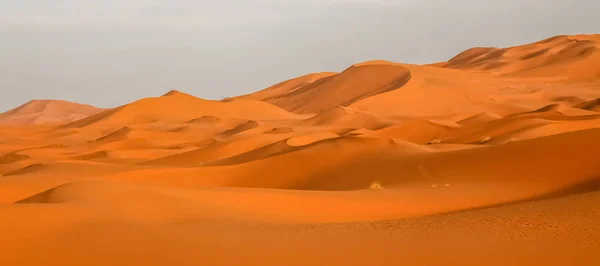 Splendide dune di sabbia di Merzouga — Foto Stock