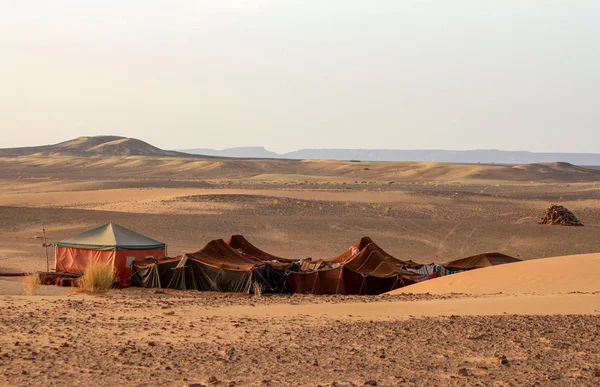 Bedouin desert camp — Zdjęcie stockowe