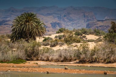 gran canaria manzara