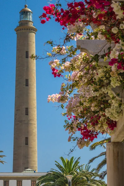 Phare de Maspalomas — Photo