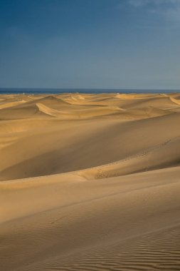 Bir Maspalomas çarpıcı kum tepeleri