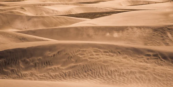 모래 언덕 형태와 패턴 — 스톡 사진