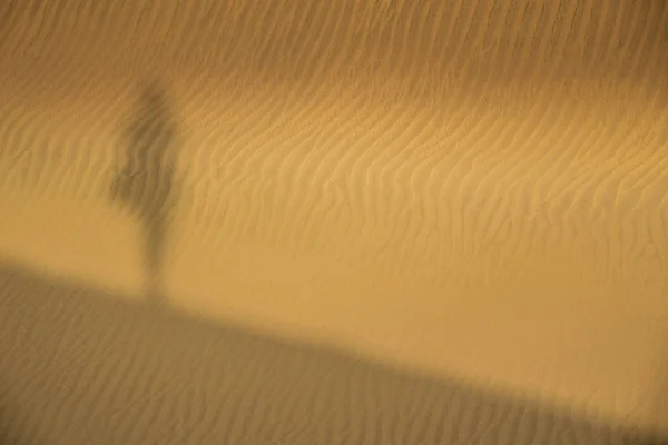 Ombre sur les dunes de sable — Photo
