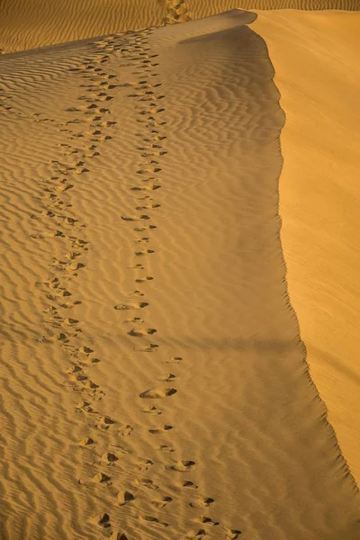 모래 언덕에 발자취 — 스톡 사진