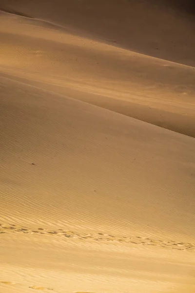 Marches sur les dunes de sable — Photo