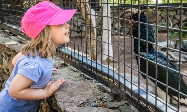 Lány az állatkertben — Stock Fotó