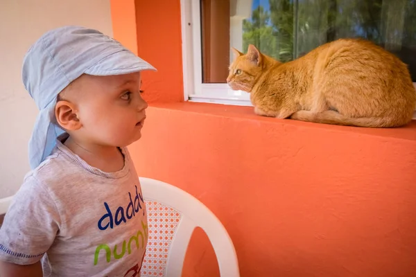 Garçon rencontres étroites avec un chat — Photo