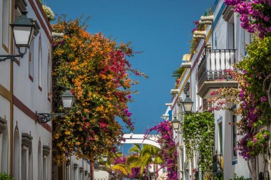 Colorful Puerto de Mogan