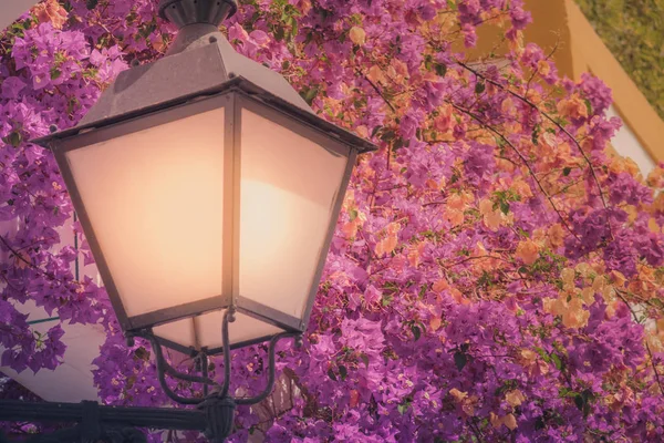 Straßenlaterne und bunte Blumen — Stockfoto