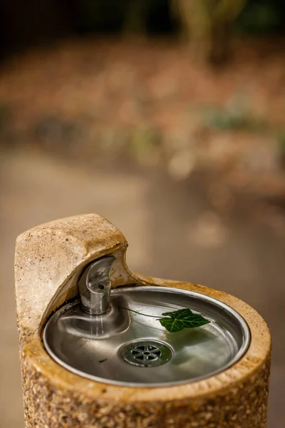 Drinking fountain in a park — Stock Photo, Image