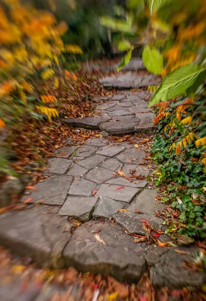 Pathway in a park in autumn — Stock Photo, Image
