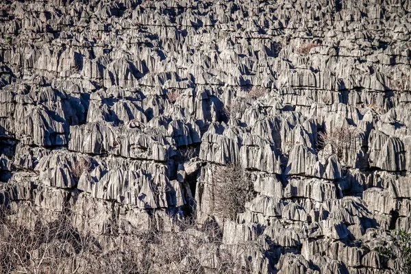 Tsingy kapat — Stok fotoğraf