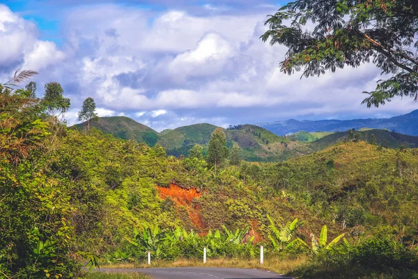 Strada in Tropics — Foto Stock