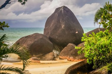 Çarpıcı kayalık sahil şeridi