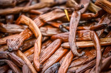 Madagascars vanilya pods