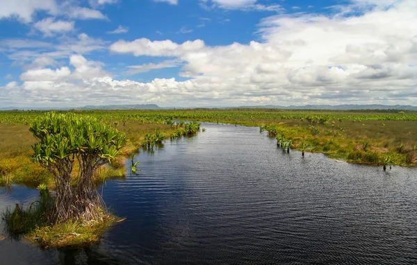 Мадагаскар водно-болотних угідь та озера — стокове фото