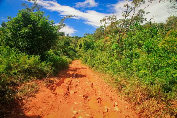 Muddy carretera a través de la selva — Foto de Stock