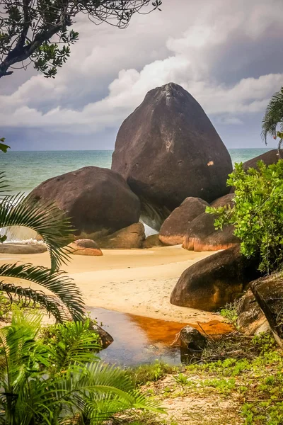 Çarpıcı kayalık sahil şeridi