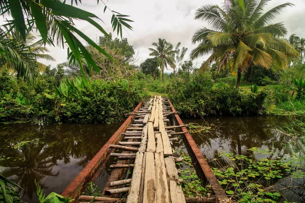 Ризиковий міст у джунглях — стокове фото