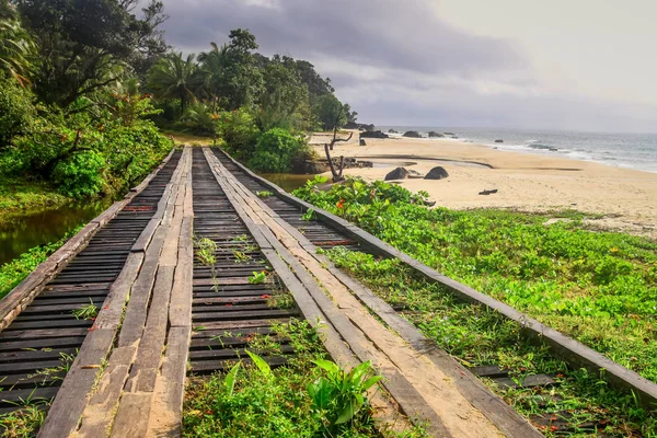 海岸上的木桥 — 图库照片