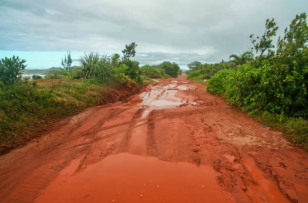 Джунглях дороги на Мадагаскарі — стокове фото