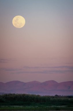 Manzaralarıyla Madagaskar'daki Tsiribihina Nehri üzerinde