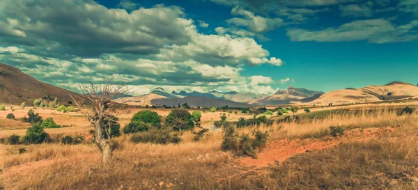 Krajobraz z Madagaskaru — Zdjęcie stockowe