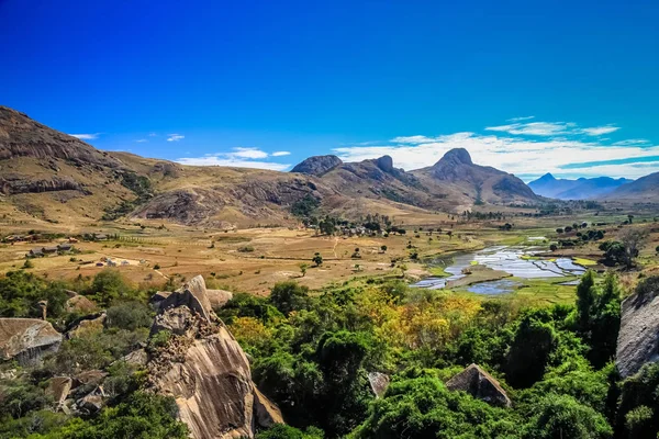 Campos de arroz de Madagascar — Foto de Stock