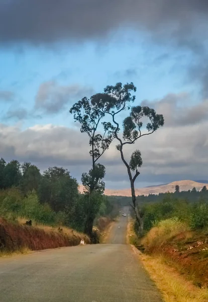 Estrada através de Madagáscar — Fotografia de Stock