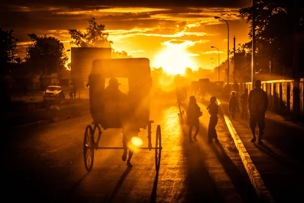 Binme çekçek gün batımında