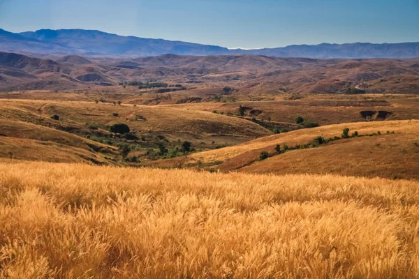 マダガスカル乾燥草原 — ストック写真