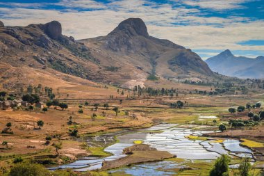Madagaskar Ricefields