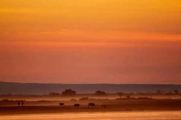Pôr do sol espetacular sobre o rio Tsiribihina — Fotografia de Stock