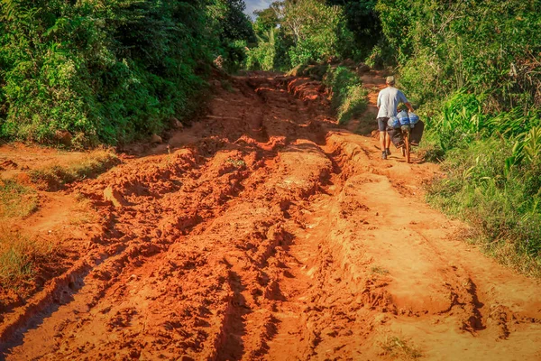 Ciclismo a través de la selva — Foto de Stock