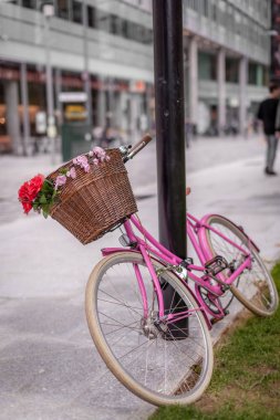 Kırmızı ve pembe Bisiklet 