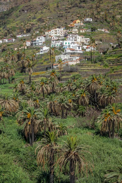 La Gomera domboldalon otthonok — Stock Fotó