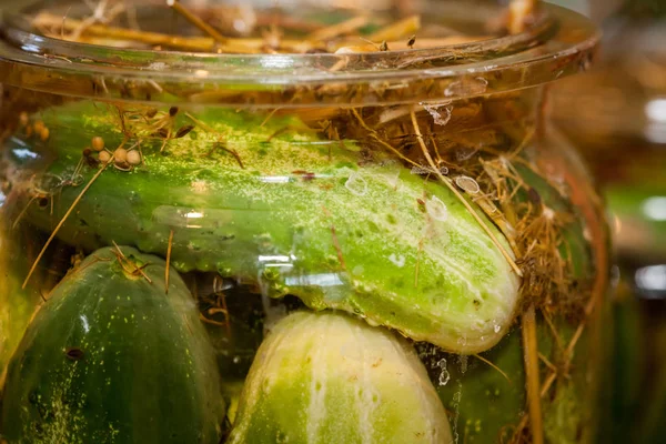 Pickling Cucumbers in glass jars — Stock Photo, Image